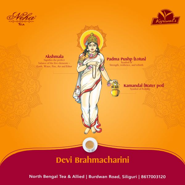 Brahmacharini Mata — Social Media Post design by Designer Wave