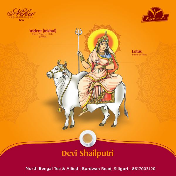 Devi Shailputri — Social Media Post design by Designer Wave