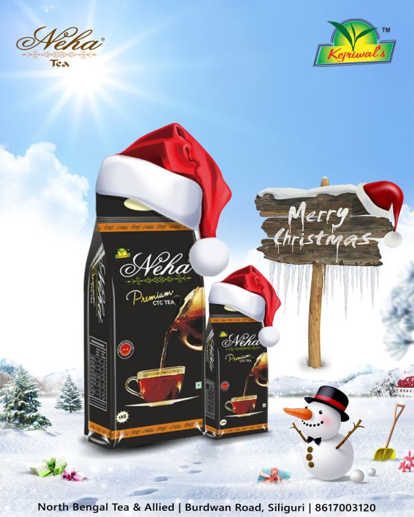 Christmas — Social Media Post design by Designer Wave