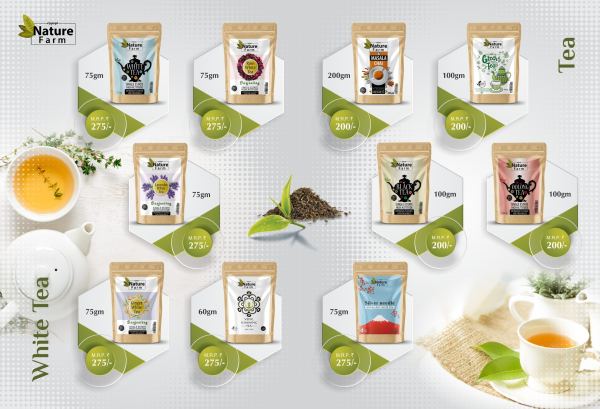 Product Catalogue — Catalogues & Brochures design by Designer Wave